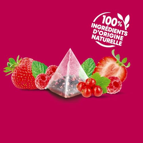 Elephant, Infusion Aromatisée, Goût Fruits Rouges & Touche de Menthe, Certifié Rainforest Alliance, Ingrédients d'Origine 100% Naturelle, 20 Sachets Pyramid