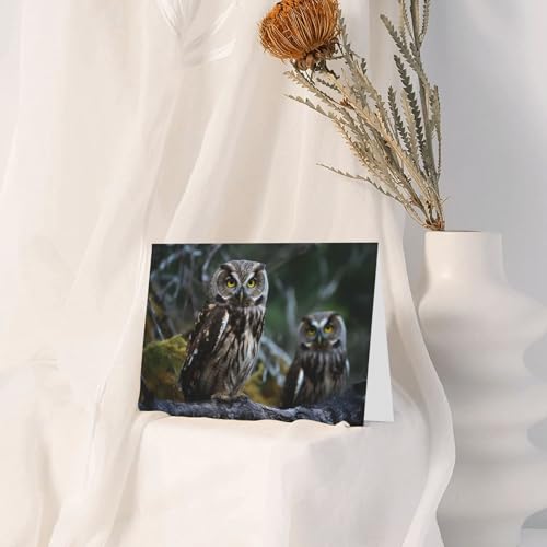 Cartes de vœux vierges hibou et oiseaux pour toutes occasions