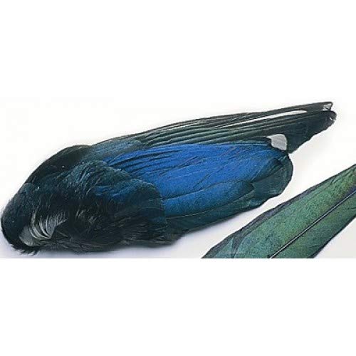 Magpie Wings, Fly Tying Feathers, For Making Trout Flies, Hackles for Flies