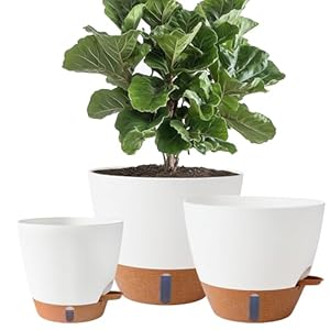 8/10/12 Inch Self Watering Pots for...