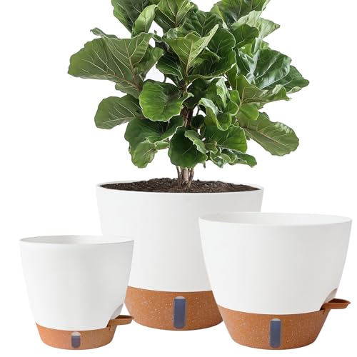 8/10/12 Inch Self Watering Pots for Indoor/Outdoor Plants – Large Plastic Planter with Drainage Holes, Water Level Indicator & Deep Reservoir, Modern Decorative Flower Pots (White)