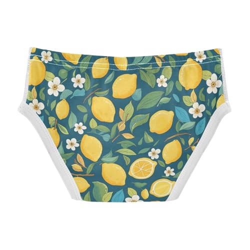Wusikd Lemons Boys' Underwear Cotton Leaves Flowers Boys Briefs Soft Toddler Underwear 2T2