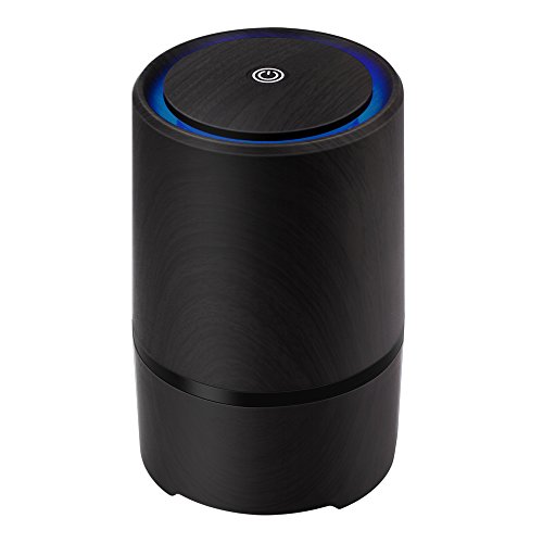 DHS SHD Air Purifier with HEPA Filter,Desktop Air Cleaner for Home Room Office - //coolthings.us