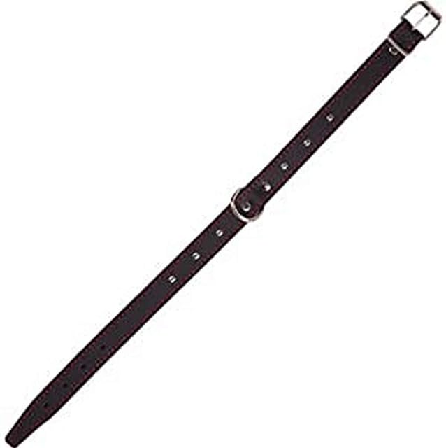 Arppe 195311225100 Collar Fornitura, Cuero F3D Amazone, Negro y Rojo