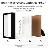3D Shadow Box, 20.3 x 25.3 CM Shadow Box Frame Deep Picture Frame, 3D Picture Frame, Wooden Deep Frame Display Box for Crafts Memorabilia Flower Tickets Medal 3 CM (Black) - Image 5
