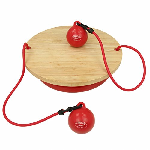Carnegie Balance Board Gleichgewicht Therapie-Kreisel Toning Bälle Tube Bänder Cover