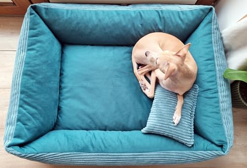 4L Textil Molly Kuscheliges Cord Hundebett mittelgroße Hunde Hundekorb aus Cord Hundekörbchen mittelgroße Hunde Hundesofa Türkis (80x60 cm, Türkis)