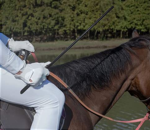 Horse Riding Crop Stick 21 Inch 14Inch,Equestrian Short Dressage Whip Training 2-Piece Set #TOP5