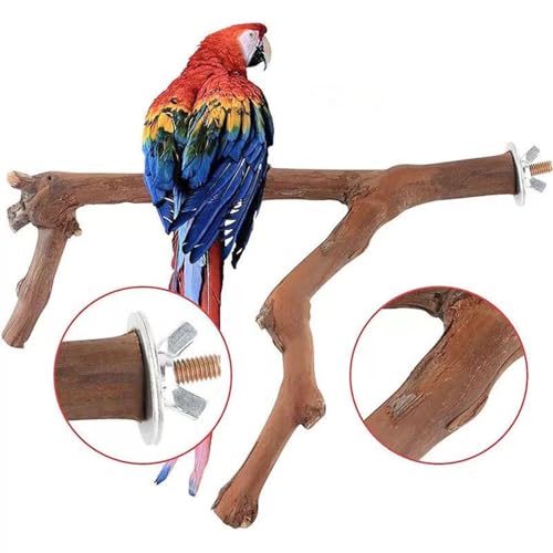 Image of Woohome 5 PCS Natural Grape Stick Natural Wooden Parrot Stand, 3 Grape Wood Perch, 2 Stand, Paw Grinding Fork Bird Perch Stand for Cage Accessorie, Cockatiels, Small Birds