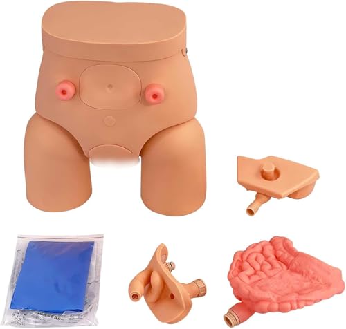 Entraîneur de cathéter AMITD avec organes génitaux interchangeables pour infirmières