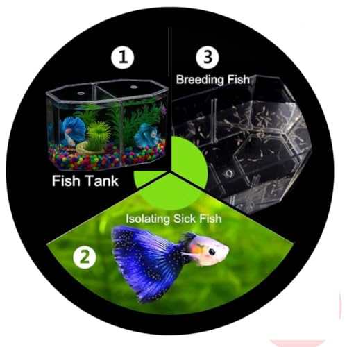 Image of Double Compartment Betta Fish Tank with Divider, 2 INCH Plant- 2,Acrylic Breeding Box for Fish, Shrimp and Jellyfish Colour May Vary (Tank)