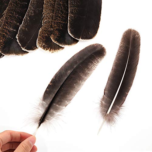 MWOOT 10pcs Turkey Feathers, Natural Purification Energy Feathers for DIY Jewelry Crafts Home Wedding Party Decoration (20-30cm) - Image 4