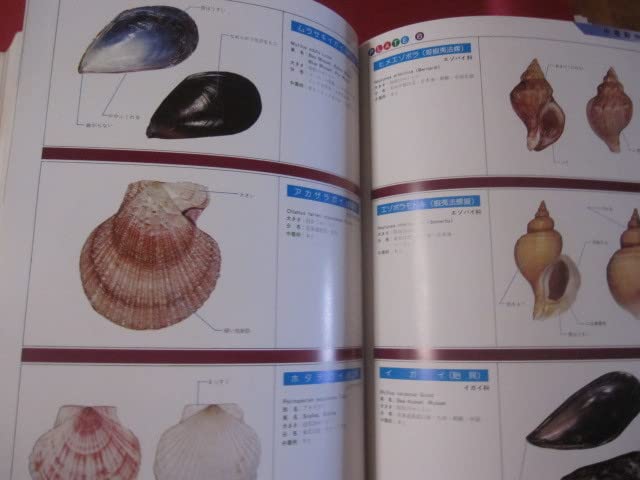 沖縄有毒害生物大事典 ☆沖縄有毒害生物大事典 動物編 【沖縄・琉球・自然・生物】(◎著者