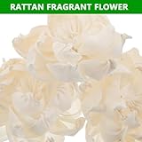 Zoom IMG-2 tovinanna diffusore di aromi a Zoom IMG-2 tovinanna diffusore di aromi a