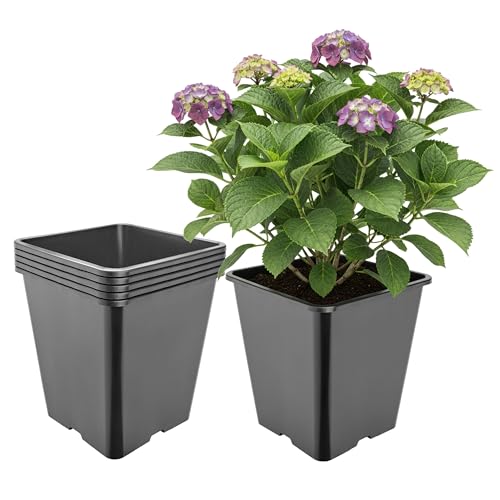 Garronda Pot de Fleur Carré Haut Plastique 25 × H 26 cm (11L) - x5 Godets Semis Pot Culture Profond Drainage Résistants Intempéries pour Plantes...