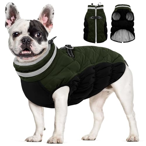 AOFITEE Dog Coat, Warm Dog Jackets for Small Dogs, Dogs Winter Coat with Harness Built in...