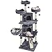 Topeakmart Cat Tree 76inch, Large Cat Tower with Condo Scratching Post for Inoor Cats Play Rest