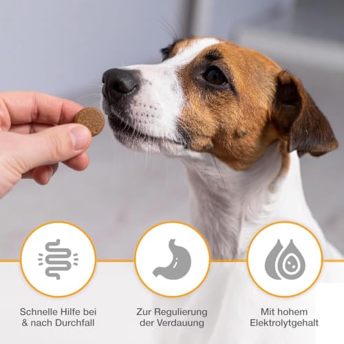 alfavet Dia Tab 12x5,5g Kautabletten für Hunde & Katzen gegen Durchfall