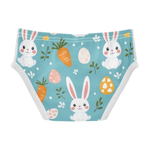Cute Easter Bunny Rabbits Toddler Boy's Underwear 2T 202b90802