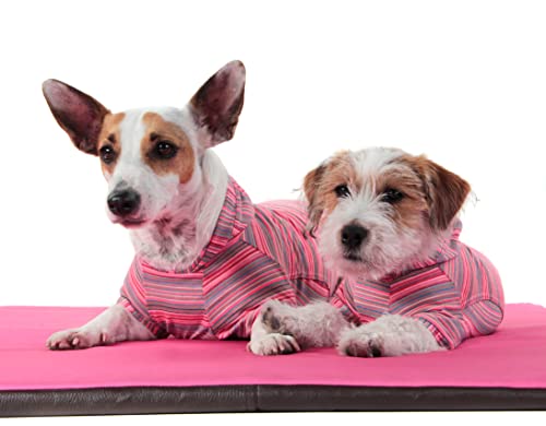 Agasalho Cereja 05 Pickorruchos para Cães, 05, Cinza e Rosa