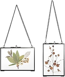 SUMTree Set of 2 Black Glass Hanging Photo Picture Display Frame, Floating Glass Picture Frame with Chain for Family Tree Mini Photo, Gallery Wall Art Work, Pressed Flower, Collage, etc, 4*6 inch