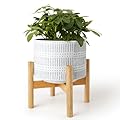LA JOLIE MUSE Ceramic Plant Pot with Wood Stand - 7.3 Inch Modern Round Decorative Flower Pot Indoor with Wood Planter Holder