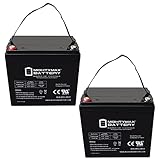Mighty Max Battery 12V 55Ah Internal Thread Replacement Battery for Quantum QG Edge NF55-2 Pack