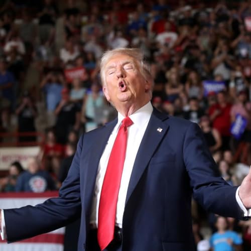 Is Trump having a meltdown? cover art