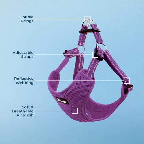 Best Pet Supplies Voyager Adjustable Step-in Flex Breathable Mesh Dog Harness for Small Medium Large Dogs (Purple), XL by Best Pet Supplies - Image 3