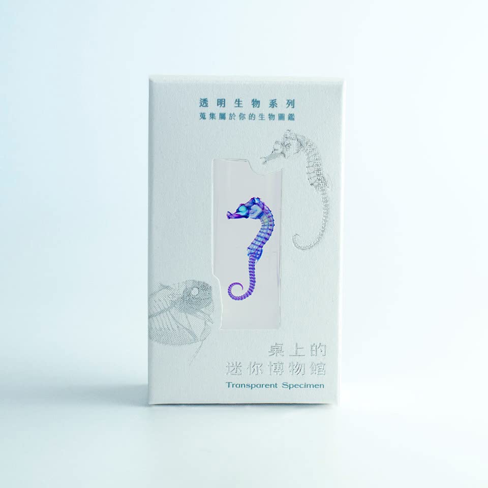 Amazon | 透明標本、サンゴタツ | 生物・動物・人体 | おもちゃ