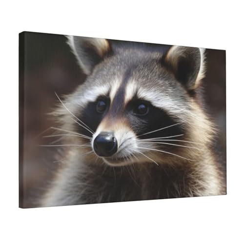 Impression sur toile raton laveur moderne Dwrepo 30x45 cm pour decoration salon et bureau
