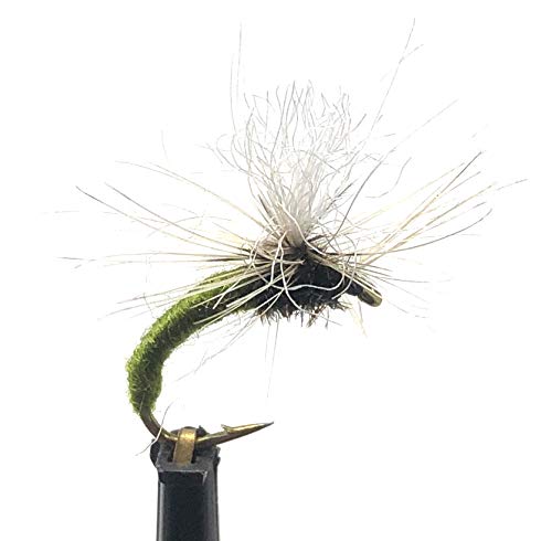 Feeder Creek KLINKHAMMER EMERGER Olive zum Fliegenfischen, 12 Trockenfliegen für Forellen und andere Süßwasserfische - 3 Größen (12, 14, 16) - 4 von jeder Größe Cover