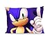 DoubleUSA Sonic The Hedgehog Pillowcases Two Sides Print Zipper Pillow Covers 20"x30"