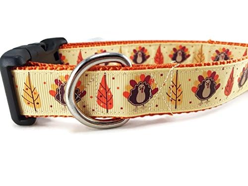 Hundehalsband Frühlingsdesign – 2,5 Cm Breit, Nylon, Verstellbar Größe M (33–48,3 Cm), Maschinenwaschbar