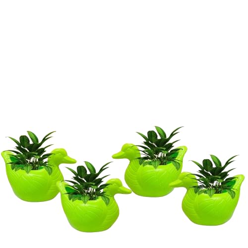 See full amazon price history chart for Anaya Flower Pots Duck Style Durable Plastic Set Sturdy Table Top Planter Pot Indoor and Outdoor Planters for Home Decor Pack of 4 (6 Inch) (Green) Anaya Flower Pots Duck Style Durable Plastic Set Sturdy Table Top Planter Pot Indoor and Outdoor Planters for Home Decor Pack of 4 (6 Inch) (Green) (B0CPPK5VBW) Amazon Price History, Amazon Price Tracker