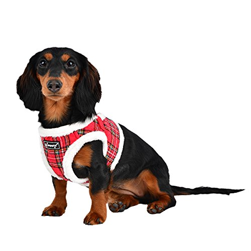 Puppia Blitzen Harness B, Small, Checkered Red #TOP4