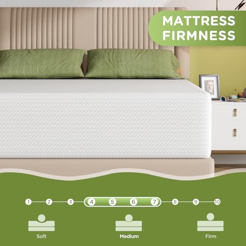 Image of PayLessHere | 14 Inch Queen Mattress | Medium Firm Base Foam Mattress