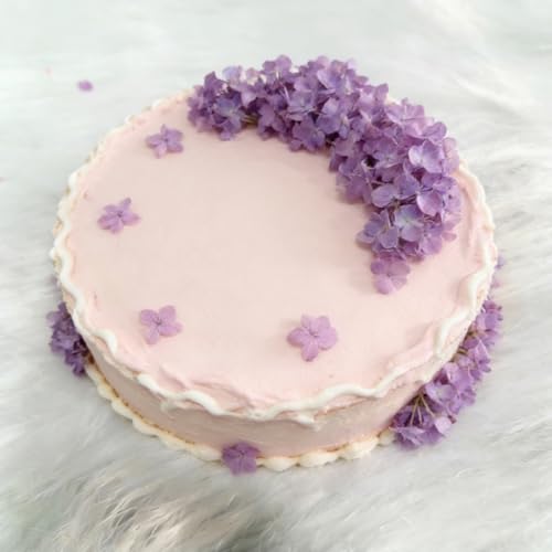Gkhlg 1 Stück Trockenblume Hortensie Natürliche Deko für Kuchen Cupcake Dekorieren Bastelprojekte Trockenblumen für Dekoration für Bäcker Party Planer DIY Enthusiasten (Flieder)