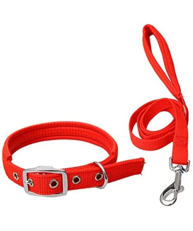 Aviean International Dog Neck Collar Belts and Leash Set (Red Color, Waterproof, Medium, Nylon) Collar=0.75 Leash 10mm (B09Y5C8VKH) Amazon Price History, Amazon Price Tracker
