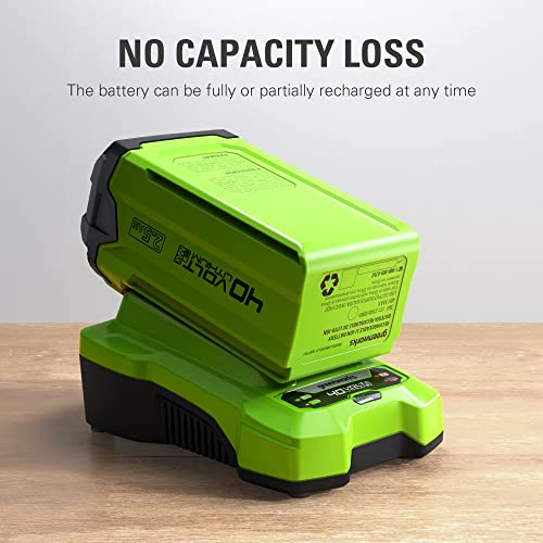 Image of Greenworks 40V 2.5Ah USB Lithium-Ion Battery (Genuine Greenworks Battery / 75+ Compatible Tools)