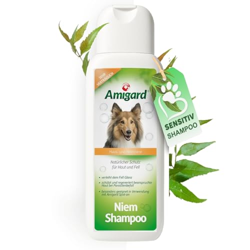 Amigard Hundeshampoo Sensitiv – Natürliches Hunde Shampoo mit Neemöl – Sanfte Pflege bei Juckreiz & Hautirritationen – ohne Duftstoffe – 250 ml
