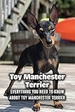 Toy Manchester Terrier: Everything You Need to Know About Toy Manchester Terrier: All About Toy Manchester Terrier - Origin, Behavior, Trainability, Puppy