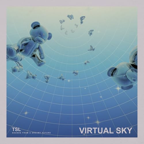 Virtual Skyの商品画像
