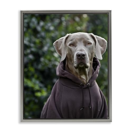 Labrador Dog Sweatshirt Hoodie, 25 x 31 Inch Canvas in Floater Frame