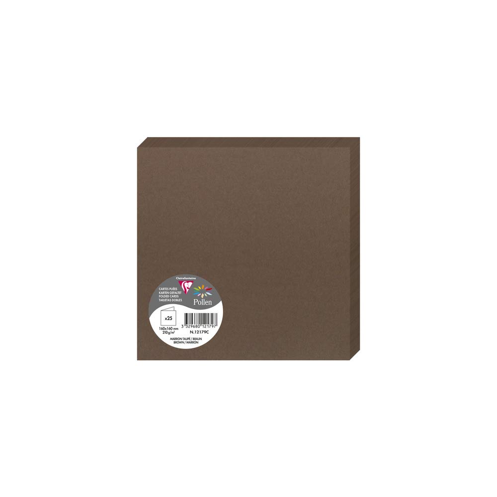 Clairefontaine 12179C Pack of 25 Double Cards Square Format 16x16cm 210gsm Taupe Brown Invitation Correspondence Boards Pollen Range