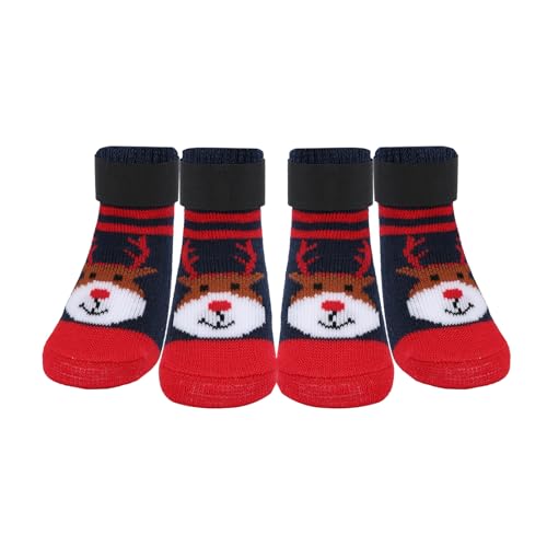 PETLOFT ~ߌp\bNX 4 hAzbgܑ&phbOV[YA^A^AVjAp̕ی쌢pu[eBAbhgiJCAM (1.2C` x 7.52cm)