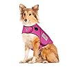 Thundershirt for dogs large fuchsia sport dog anxiety relief calming vest  urban country home decor