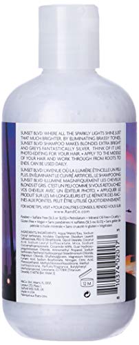 R+Co Sunset Blvd Daily Blonde Shampoo | Daily Brightening + Combats Brassiness + Hydrating | Vegan + Cruelty-Free | 8.5 Oz #TOP1