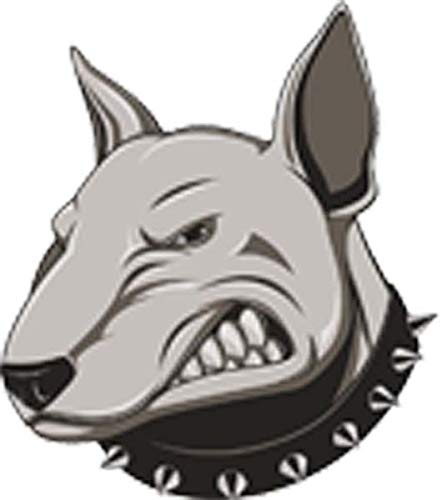 Angry Growling Gray Bull Terrier with A Black Spiked Collar Vinyl Decal Sticker (8" Tall)