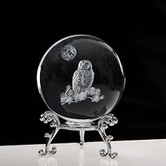 Clear_owl